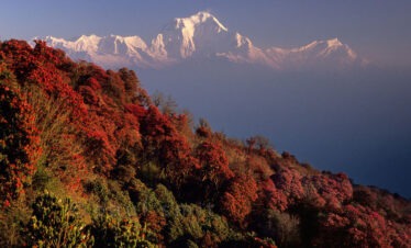 Dhaulagiri Expedition